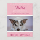 Recherche de membres cartes postales Chiot