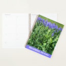 Recherche de all photographie Fleurs violettes