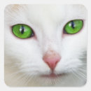 Recherche de yeux verts autocollants Animal