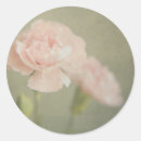Recherche de oeillet autocollants Fleur