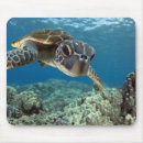 Recherche de tortue verte tapis souris Animal