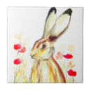 Recherche de lapin sauvage carreaux Faune