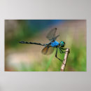 Recherche de adapté art Calme