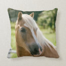 Recherche de beaux chevaux coussins Poulain