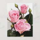 Recherche de vacances événement cartes postales Rose
