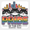 Recherche de drapeau du texas autocollants Houston
