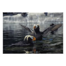 Recherche de oiseau américain posters Alaska