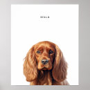 Recherche de cocker anglais posters Mignon