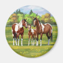 Recherche de de beaux magnets Cheval