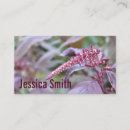 Recherche de mauve photographie Floral