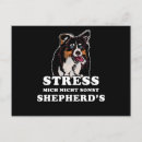 Recherche de le berger australien posters Plaisir