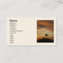 Recherche de soleil cartes visite Désert