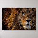 Recherche de peinture de lion posters Décoration