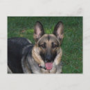 Recherche de mousepad cartes postales Animal
