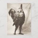 Recherche de poulets cartes postales Animaux