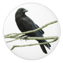 Recherche de américain boutons et poignées de porte Oiseau