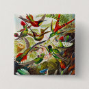 Recherche de oiseau vintage badges Colibri