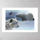 Recherche de snow leopard posters Faune