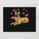 Recherche de malinois belges cartes postales Amoureux des chiens