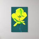 Recherche de plante abstrait art Rose