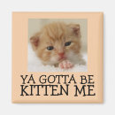 Recherche de funny cat magnete Cats