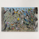 Recherche de moineau puzzles Oiseaux bleus