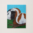 Recherche de cobayes puzzles Animal de compagnie