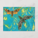 Recherche de papillon bleu turquoise cartes postales Vert