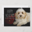 Recherche de animal christmas vœux cartes Horizontal