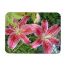 Recherche de lillies magnets Floral