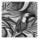 Recherche de toucan posters Oiseau