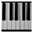 Recherche de musique piano posters Musicien