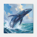 Recherche de baleine magnets Observation des baleines