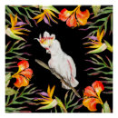 Recherche de perroquets posters Oiseau