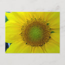 Recherche de doré cartes postales Floral