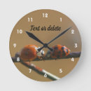 Recherche de ladybug horloges Insecte