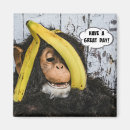 Recherche de humour de banane magnets Singe
