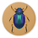 Recherche de egypte boutons et poignées de porte Scarabée