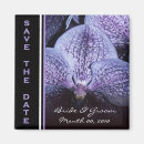 Recherche de orchidée pourpre Lilas