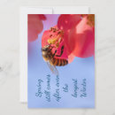 Recherche de messages de sympathie vœux cartes Fleur