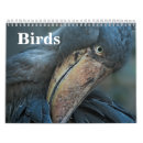 Recherche de perroquet calendriers Macaw