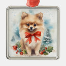 Recherche de pomeranian ornements Noël
