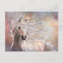 Recherche de étalon blanc cartes postales Sauvage