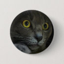 Recherche de félin badges Minou