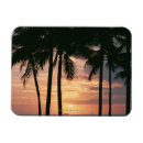 Recherche de allumé magnets Nature