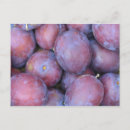 Recherche de prune sucre cartes postales Violet