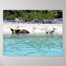 Recherche de exuma posters Mignon