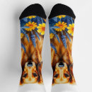 Recherche de dachshund socks Mignon