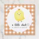 Recherche de petit de poussin Chic