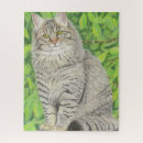 Recherche de cocon puzzles Principal